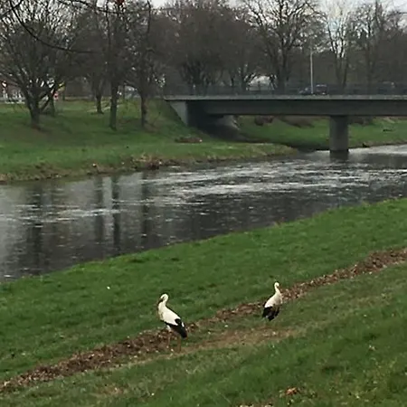 Haus Anneliese Apartamento