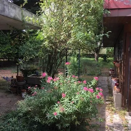 Apartamento Haus Anneliese Herbolzheim